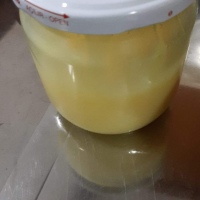 arı sütü 10gr